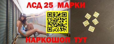 СК Камышлов