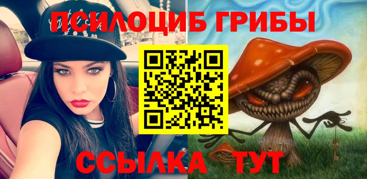 Керчь  Псилоцибиновые грибы MAGIC MUSHROOMS  Галлюциногенные грибы Psilocybine cubensis  Вход с VPN 