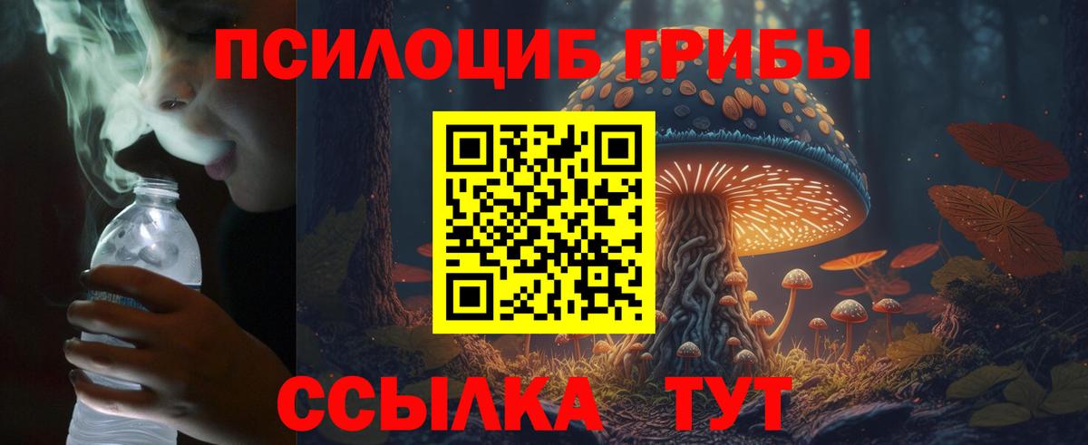 Псилоцибиновые грибы прущие грибы Керчь